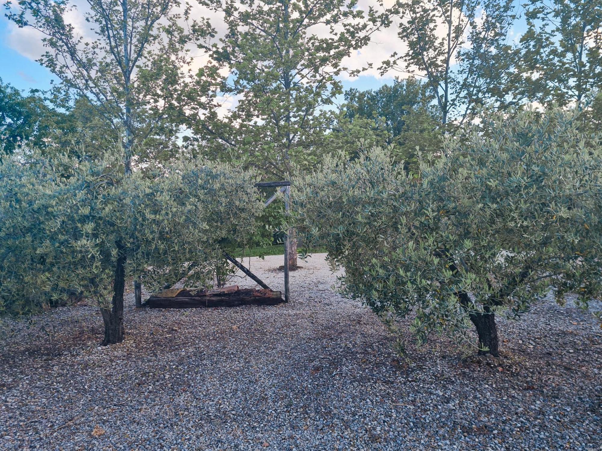 La Mela Rosa Bed & Breakfast Amandola Bagian luar foto