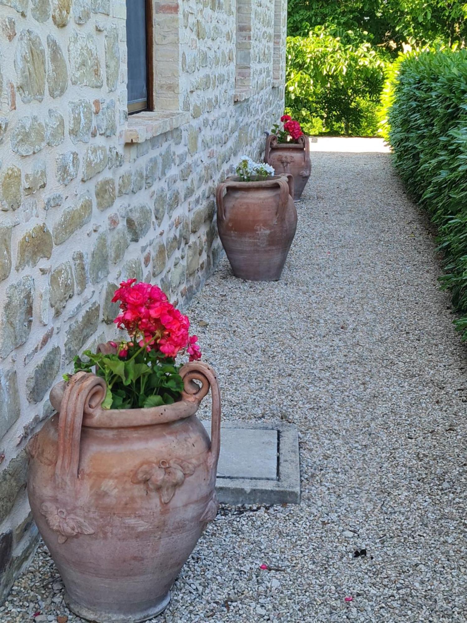 La Mela Rosa Bed & Breakfast Amandola Bagian luar foto